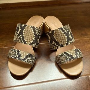 Madewell 🐍 snakeskin slides. Worn once - size 10